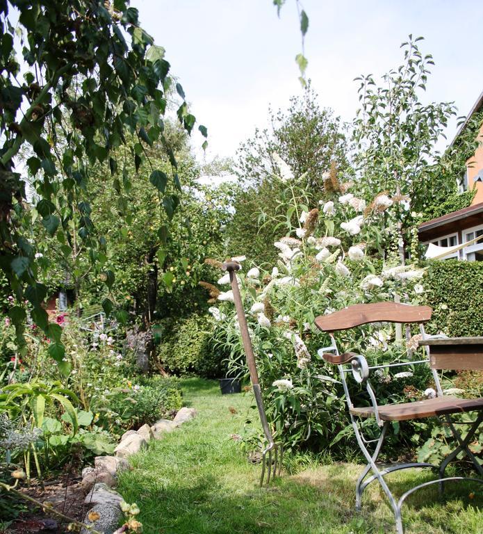 Landhaus Martens Bresewitz Exteriör bild