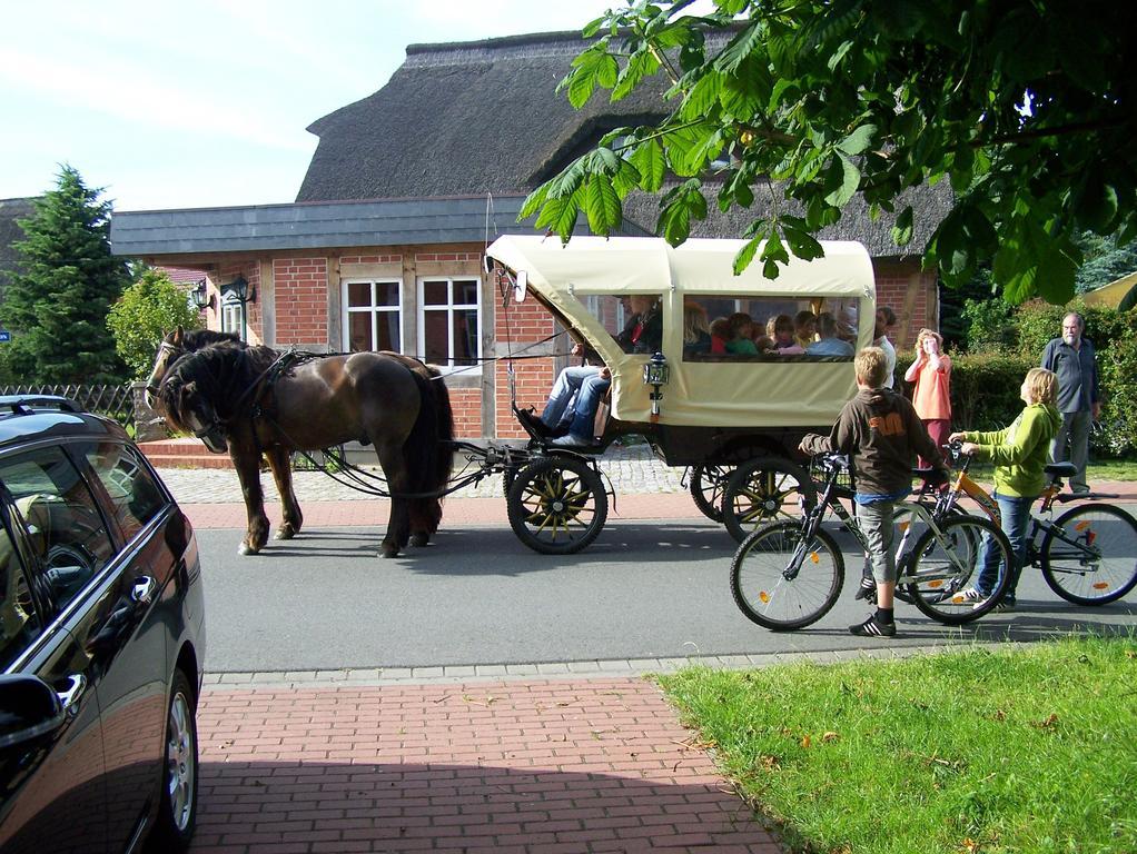 Landhaus Martens Bresewitz Exteriör bild