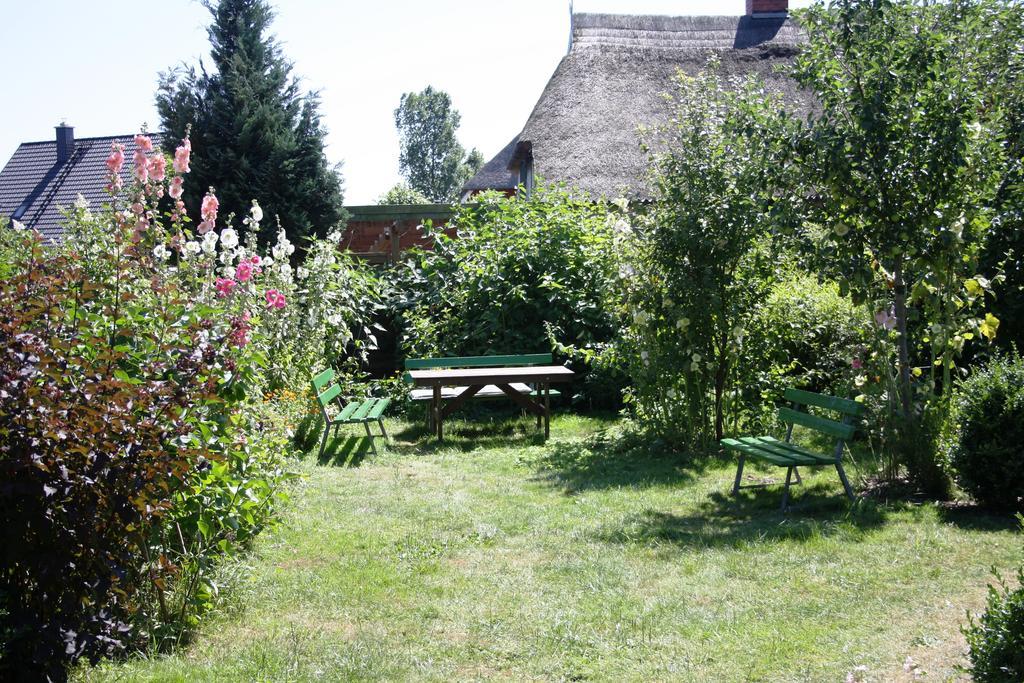 Landhaus Martens Bresewitz Exteriör bild
